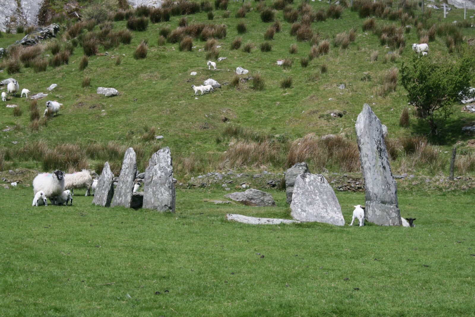 Canon EOS 400D (EOS Digital Rebel XTi / EOS Kiss Digital X) sample photo. Ireland, monument, historically photography