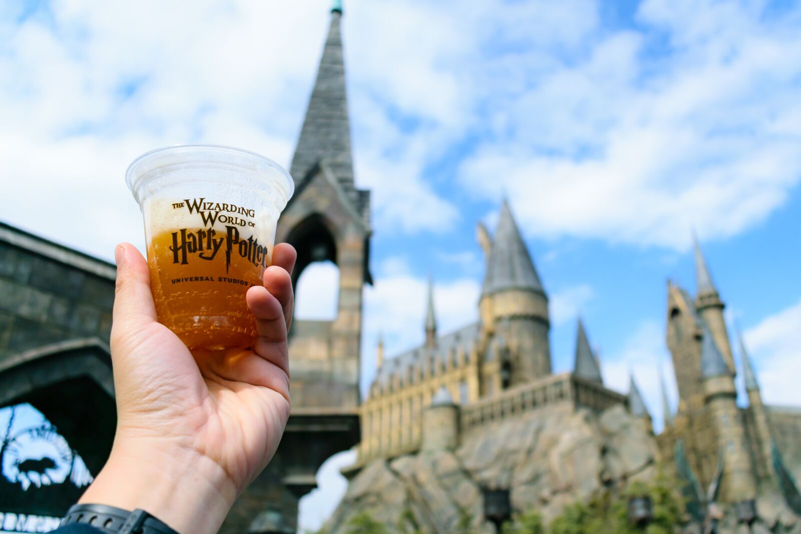 Nikon D5300 sample photo. Butter, beer, harry photography