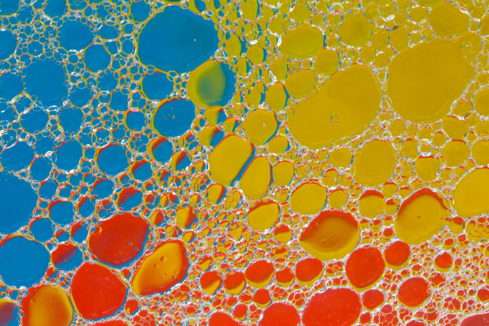 Canon EF-S 60mm F2.8 Macro USM sample photo. Bubbles, abstract, lights photography
