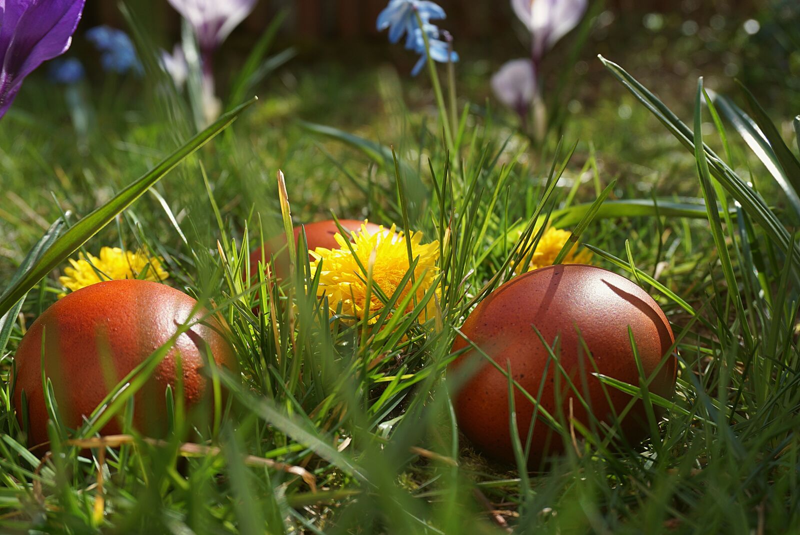 Sony a6000 sample photo. Easter eggs, coloring, easter photography