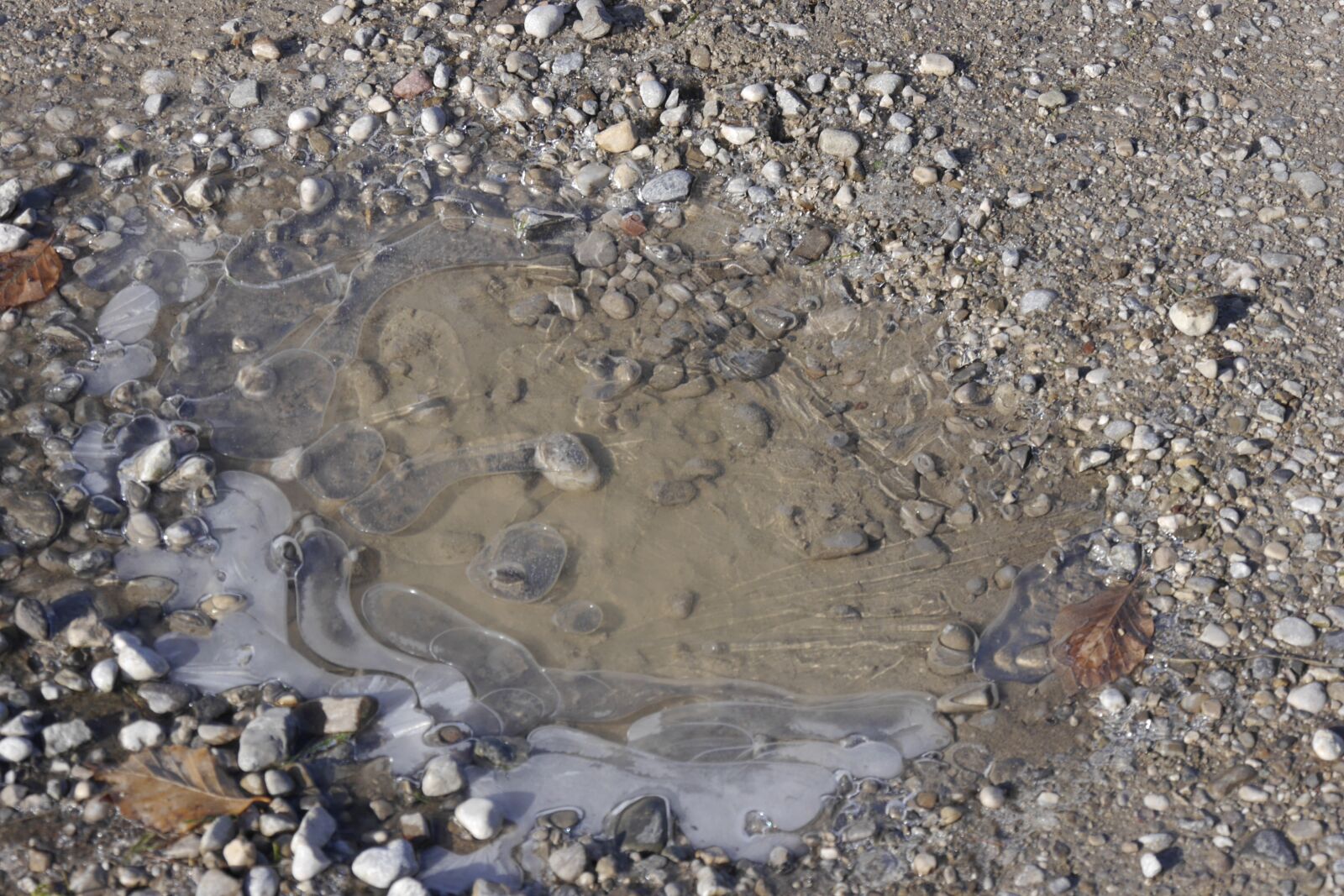 Panasonic Lumix DMC-G6 sample photo. Puddle, ice, frozen photography