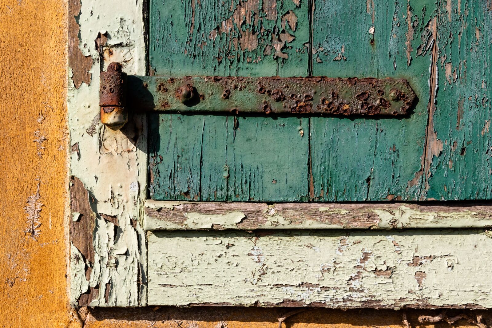 Canon EOS 80D sample photo. Wood, dirty, woods photography