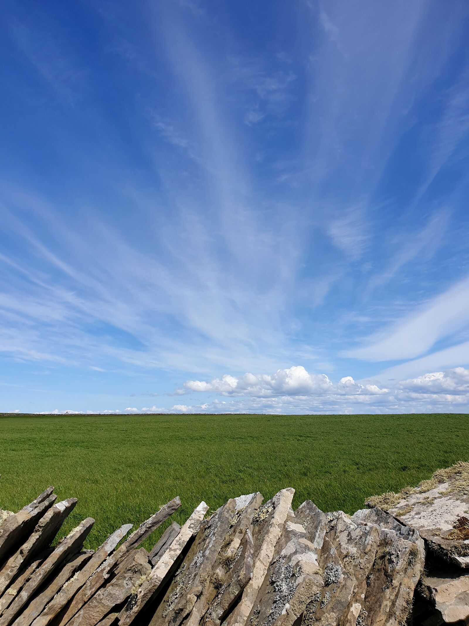 Samsung Galaxy S9 sample photo. Ireland, countryside, irish photography