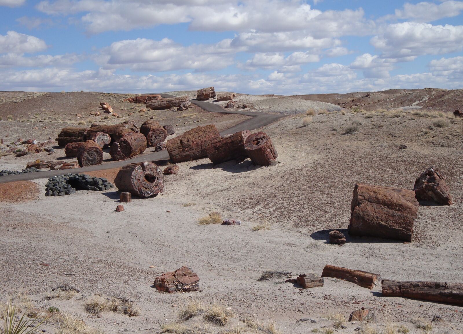 Sony Cyber-shot DSC-W150 sample photo. Petrified forest national park photography