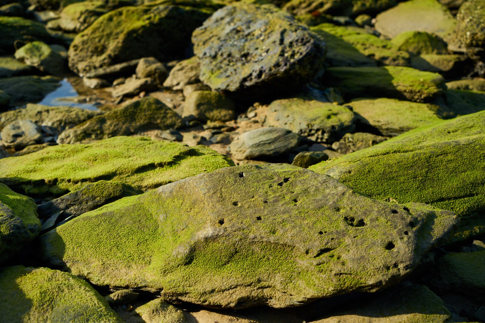 Sony a7R II sample photo. Kennedy, rocky, water photography