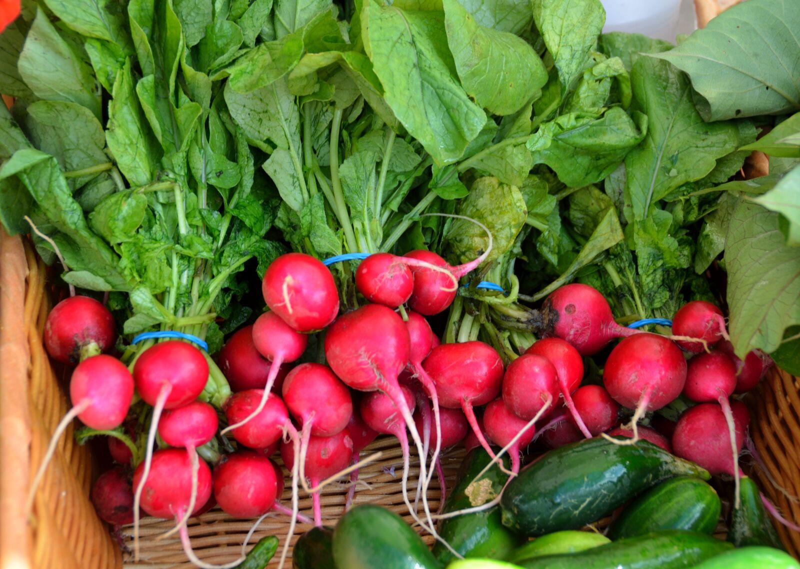 Nikon D7000 sample photo. Red radish, radish, vegetable photography