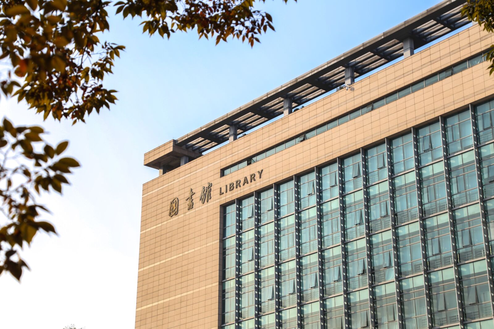 Canon EOS 6D + Canon EF 24-105mm F4L IS USM sample photo. Library, clear, zhejiang university photography