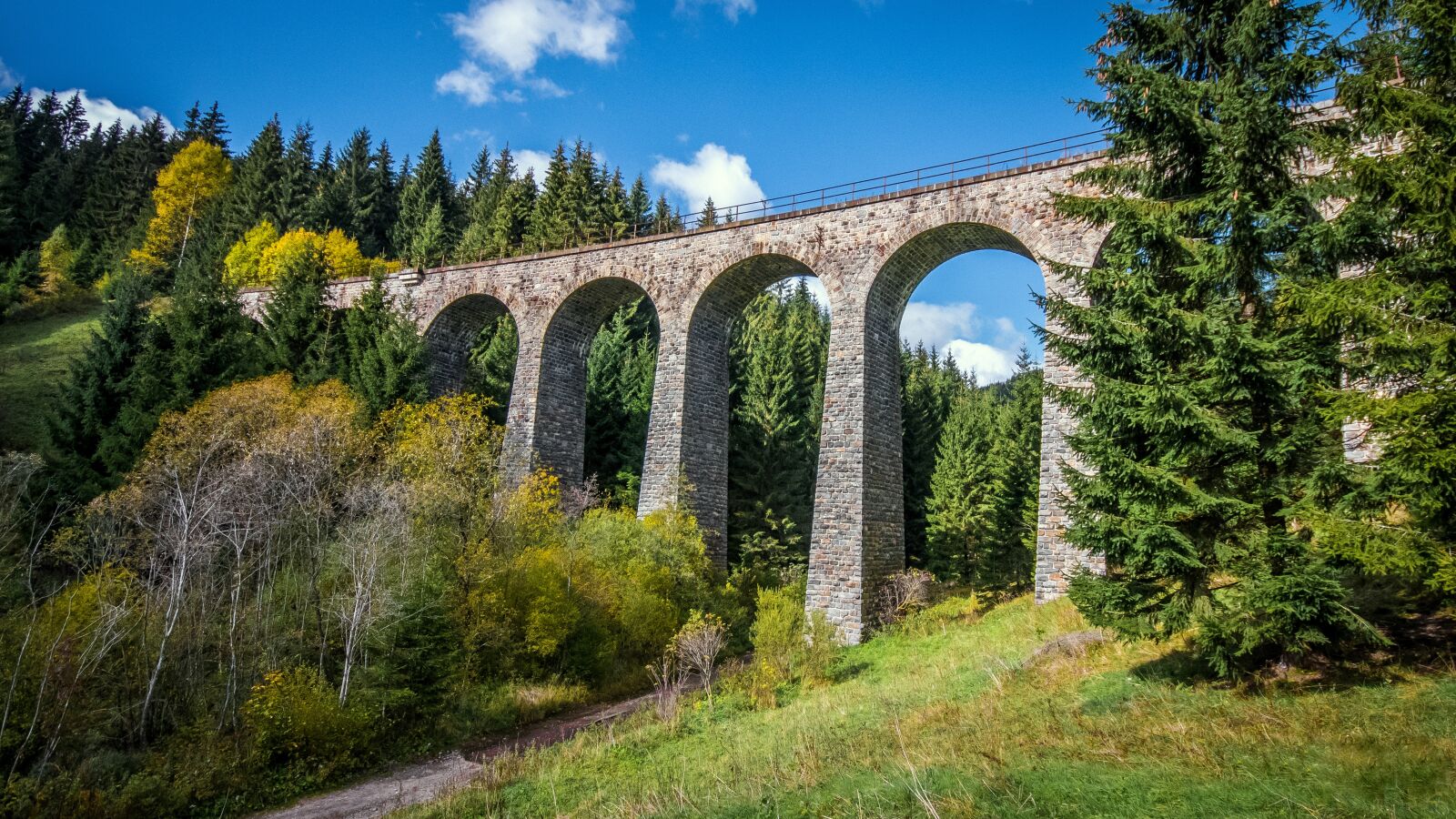 Nikon D500 sample photo. Nature, bridge, slovakia photography