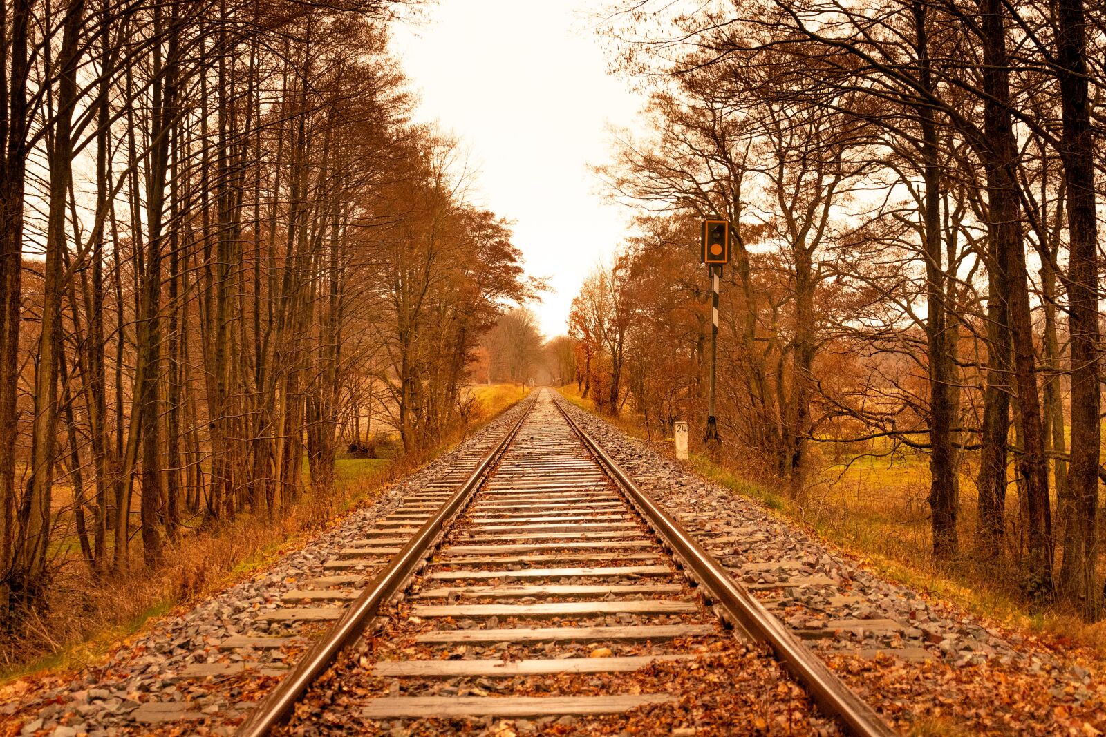 Canon EOS 200D (EOS Rebel SL2 / EOS Kiss X9) sample photo. Trees, autumn, railway photography