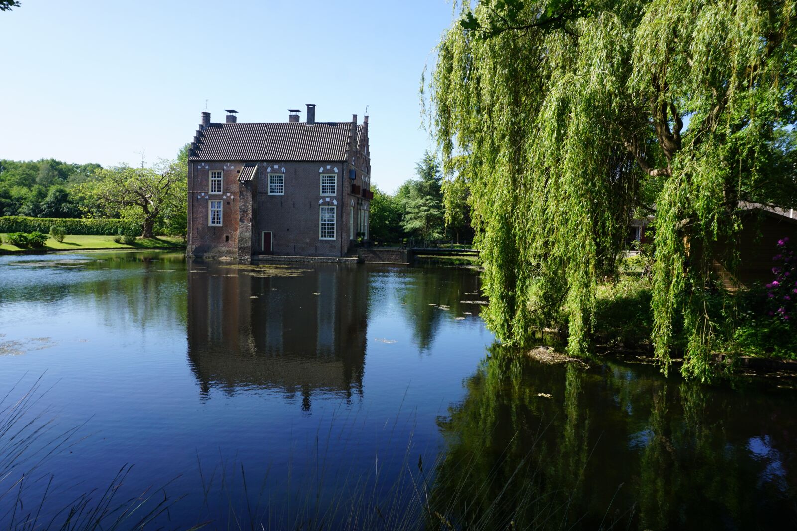 Sony a6000 sample photo. Castle, weeping willow, water photography