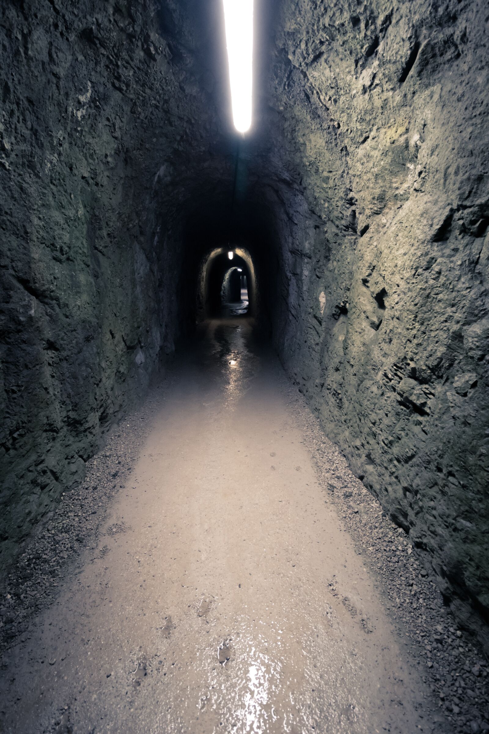 Canon EOS 250D (EOS Rebel SL3 / EOS Kiss X10 / EOS 200D II) sample photo. Underground tunnel, tunnel, illuminated photography