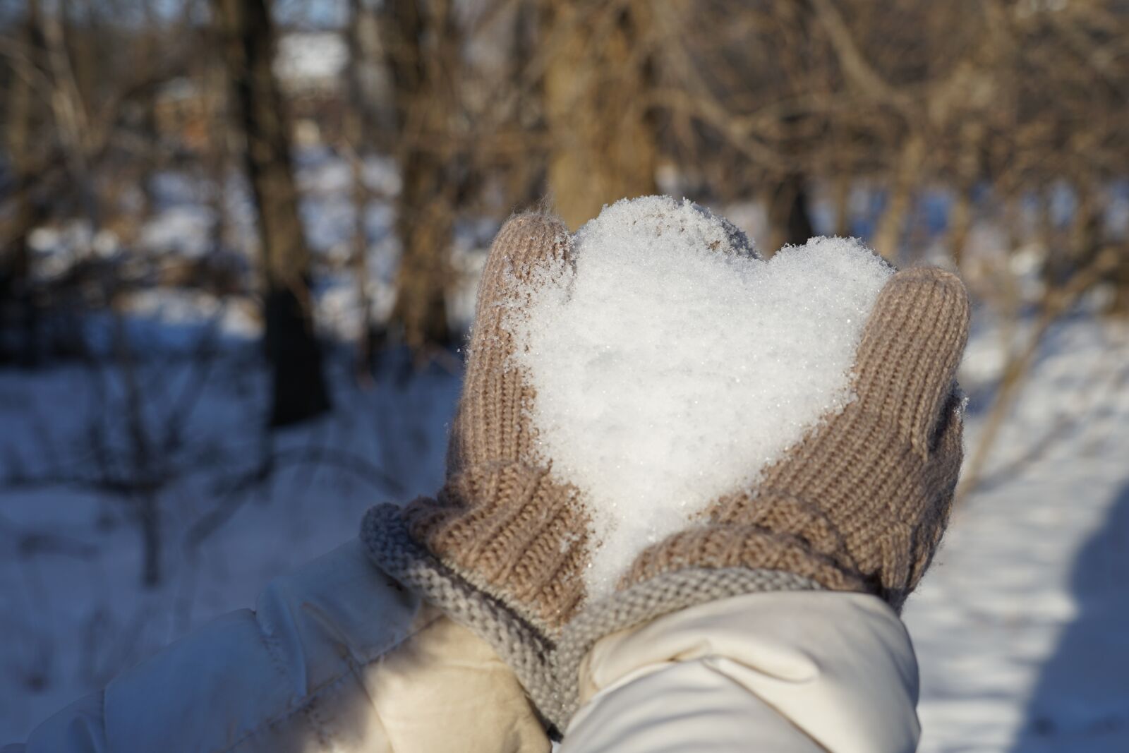 Sony a7 II + Sony FE 24-240mm F3.5-6.3 OSS sample photo. Winter, snow, cold photography