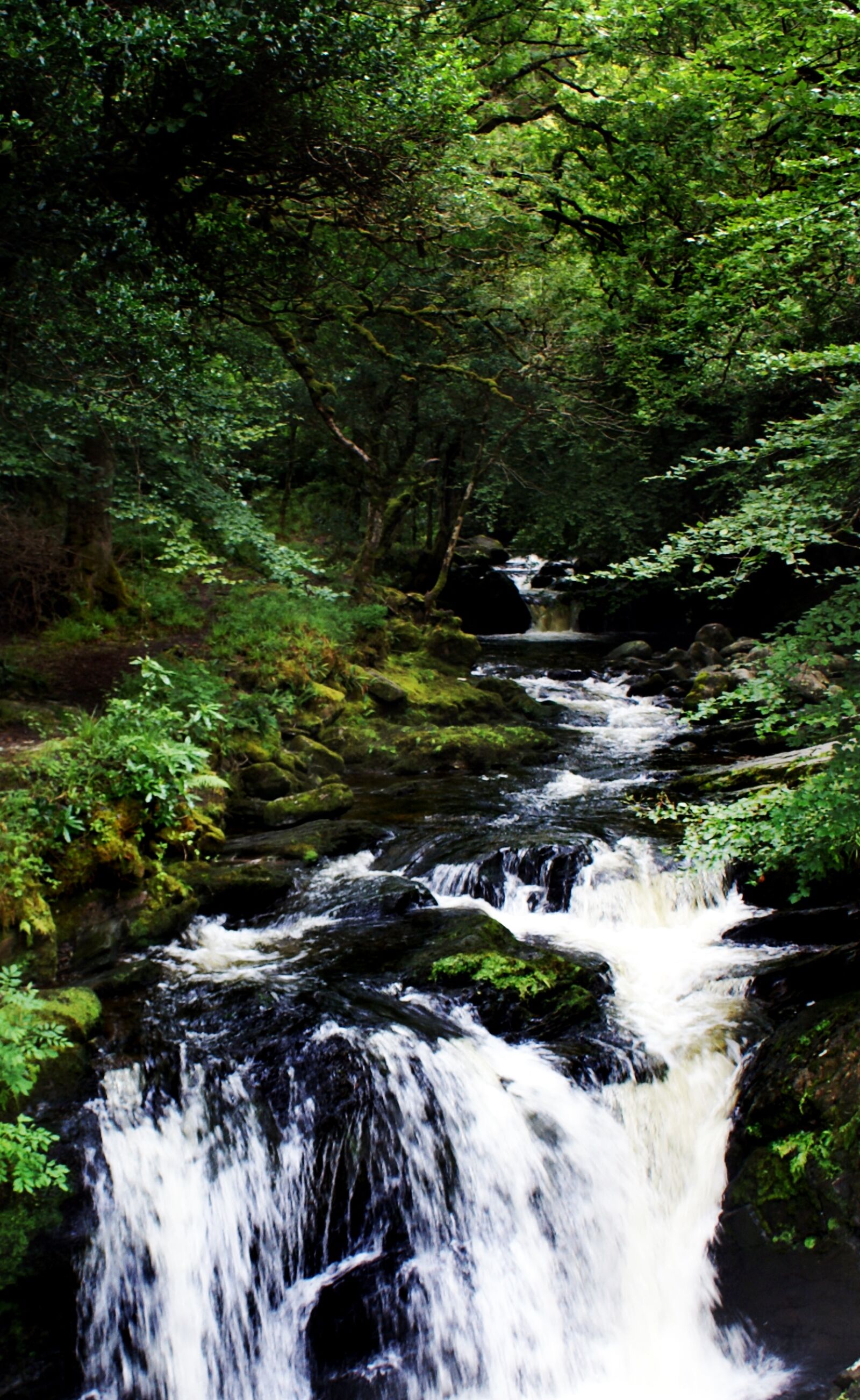 Sony Alpha DSLR-A100 sample photo. Kerry, waterfall, water photography