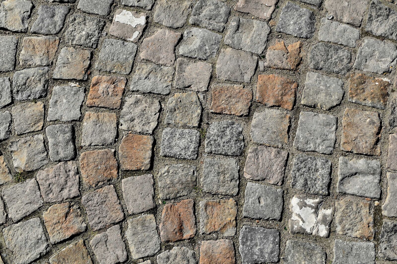 Nikon D5500 sample photo. Paving stone, texture, stone photography
