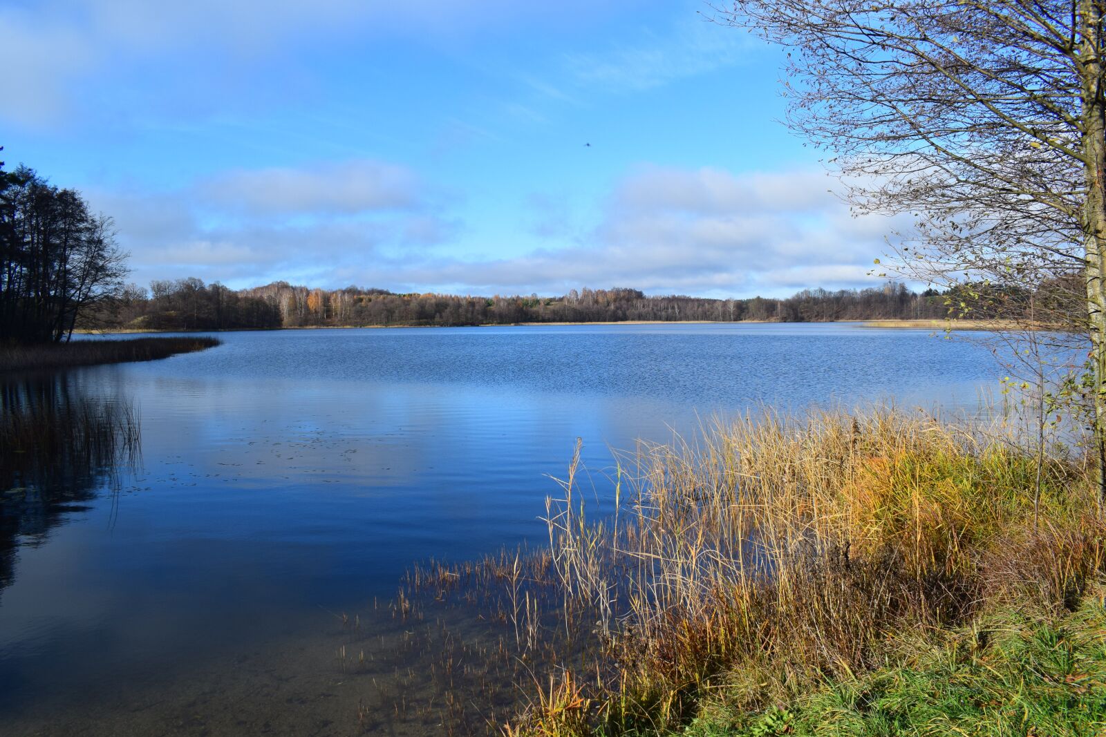Nikon D3300 sample photo. Lake, beach, spacer photography