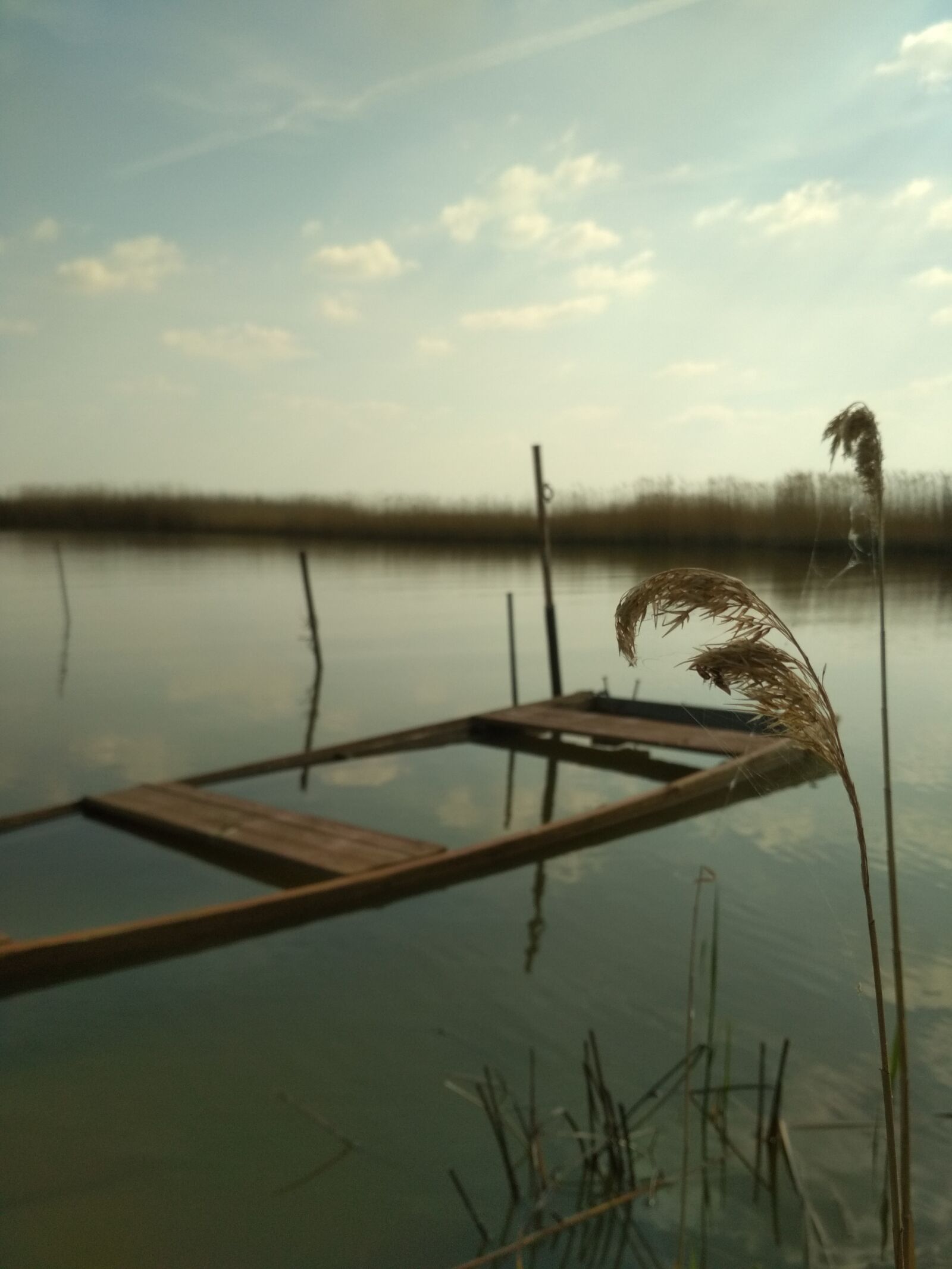 Xiaomi Redmi 4X sample photo. Lake, water, reed photography