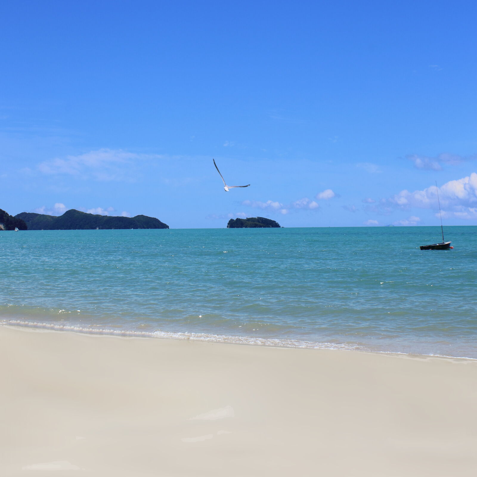 Canon EOS 1300D (EOS Rebel T6 / EOS Kiss X80) sample photo. Nature, ocean, bay, summer photography