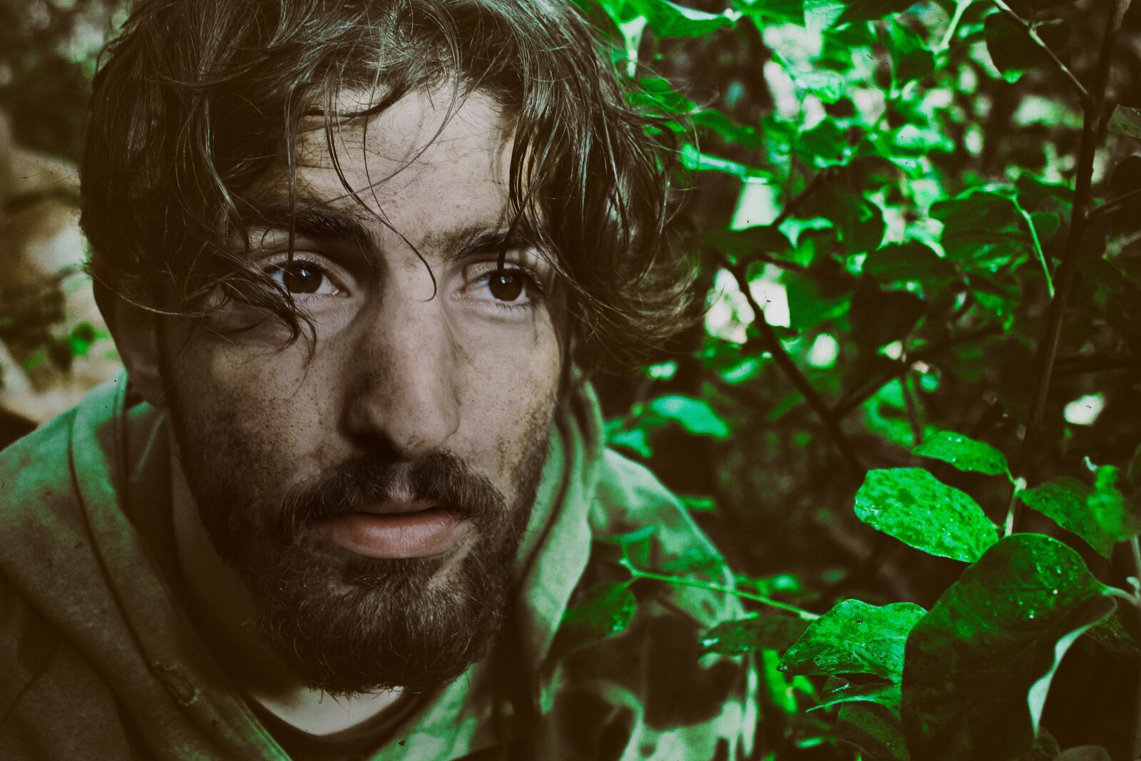 Canon EOS 60D sample photo. War, nature, survival photography