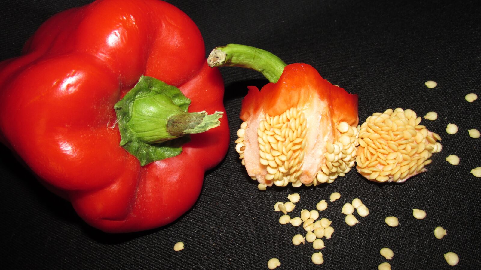 Canon PowerShot SX170 IS sample photo. Vegetable, capsicum, seed photography