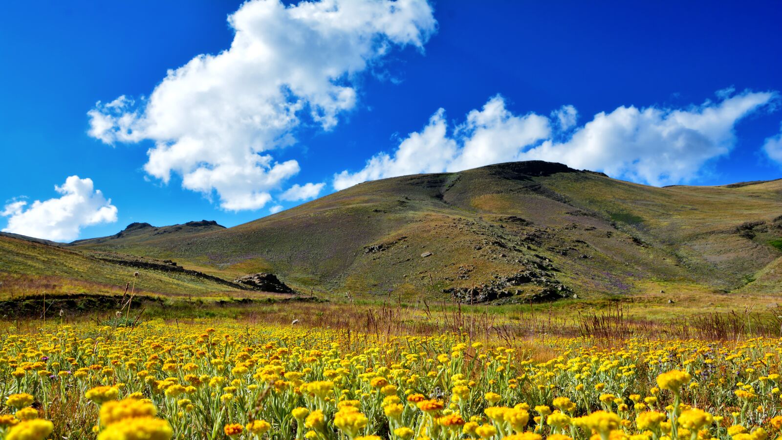 Nikon D7100 sample photo. Nature, landscape, kaçkars photography