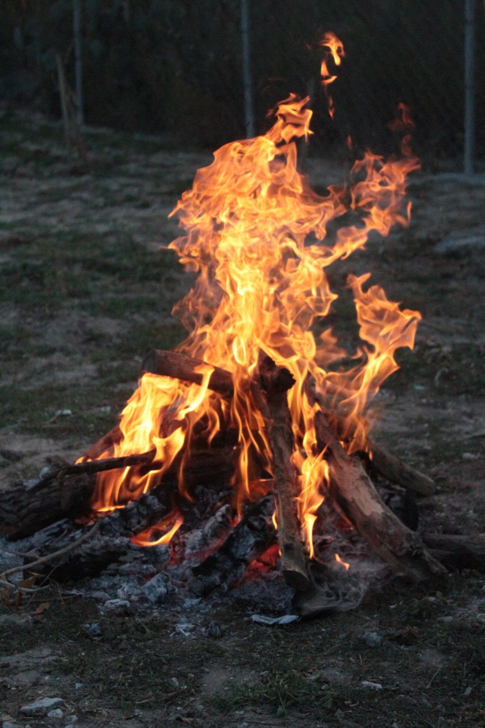 Canon EOS 1200D (EOS Rebel T5 / EOS Kiss X70 / EOS Hi) sample photo. Campfire, fire, field photography