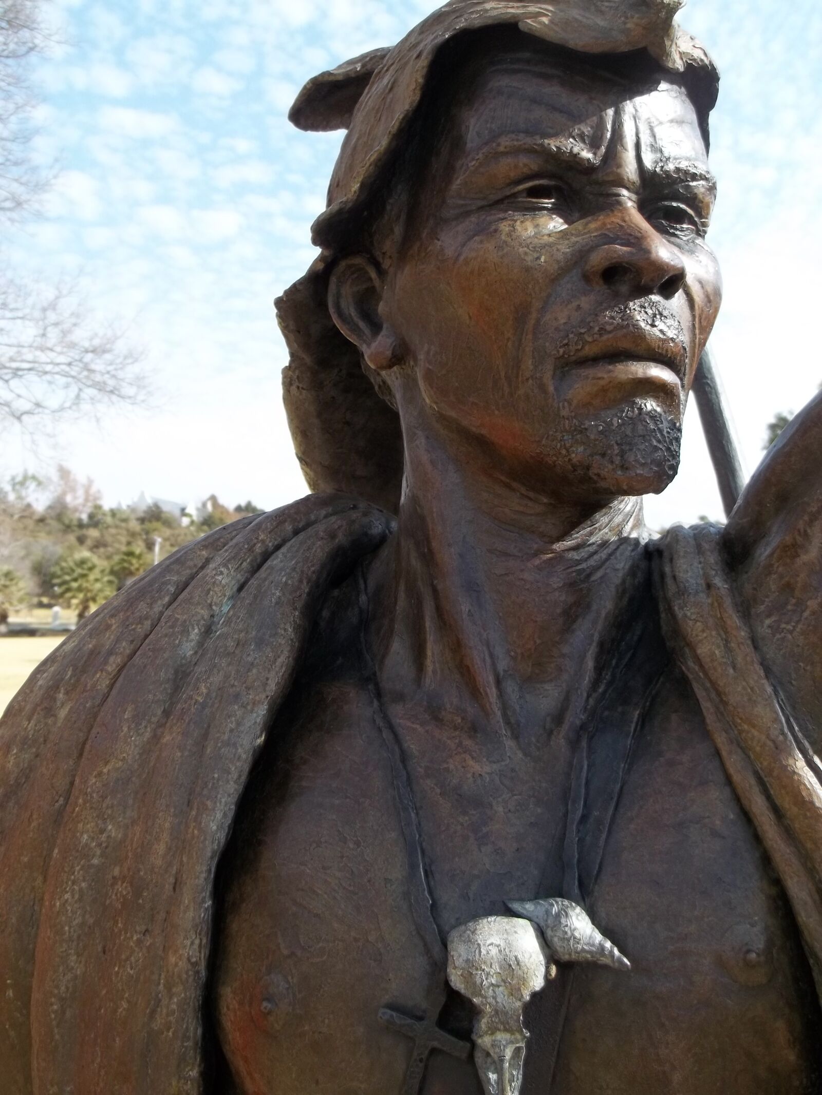 Kodak EASYSHARE C195 DIGITAL CAMERA sample photo. African chief, bronze, exhibition photography