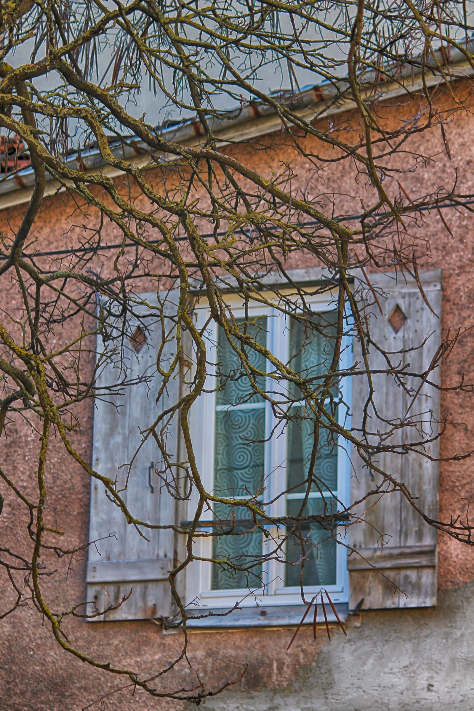 Canon EOS 1100D (EOS Rebel T3 / EOS Kiss X50) sample photo. Window, winter, house photography