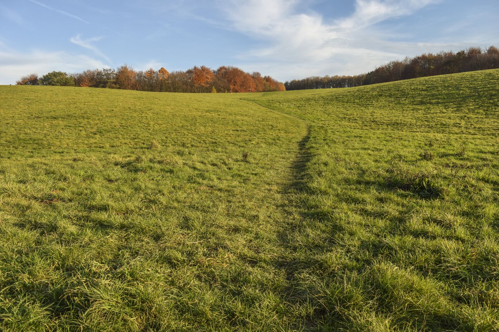 Nikon D3300 sample photo. Landscape, autumn, nature photography