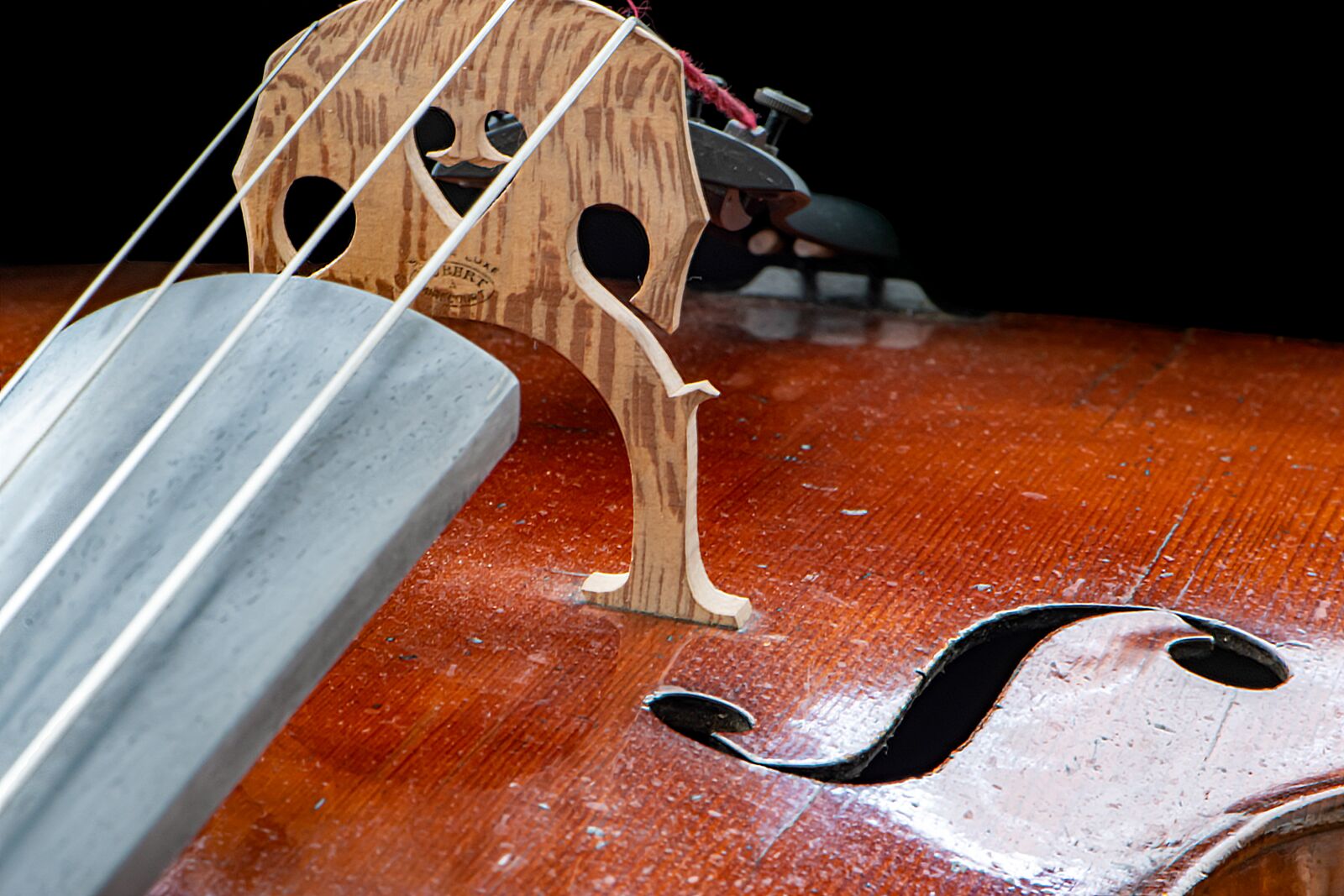 Nikon D5600 sample photo. Bridge, cello, musical instrument photography