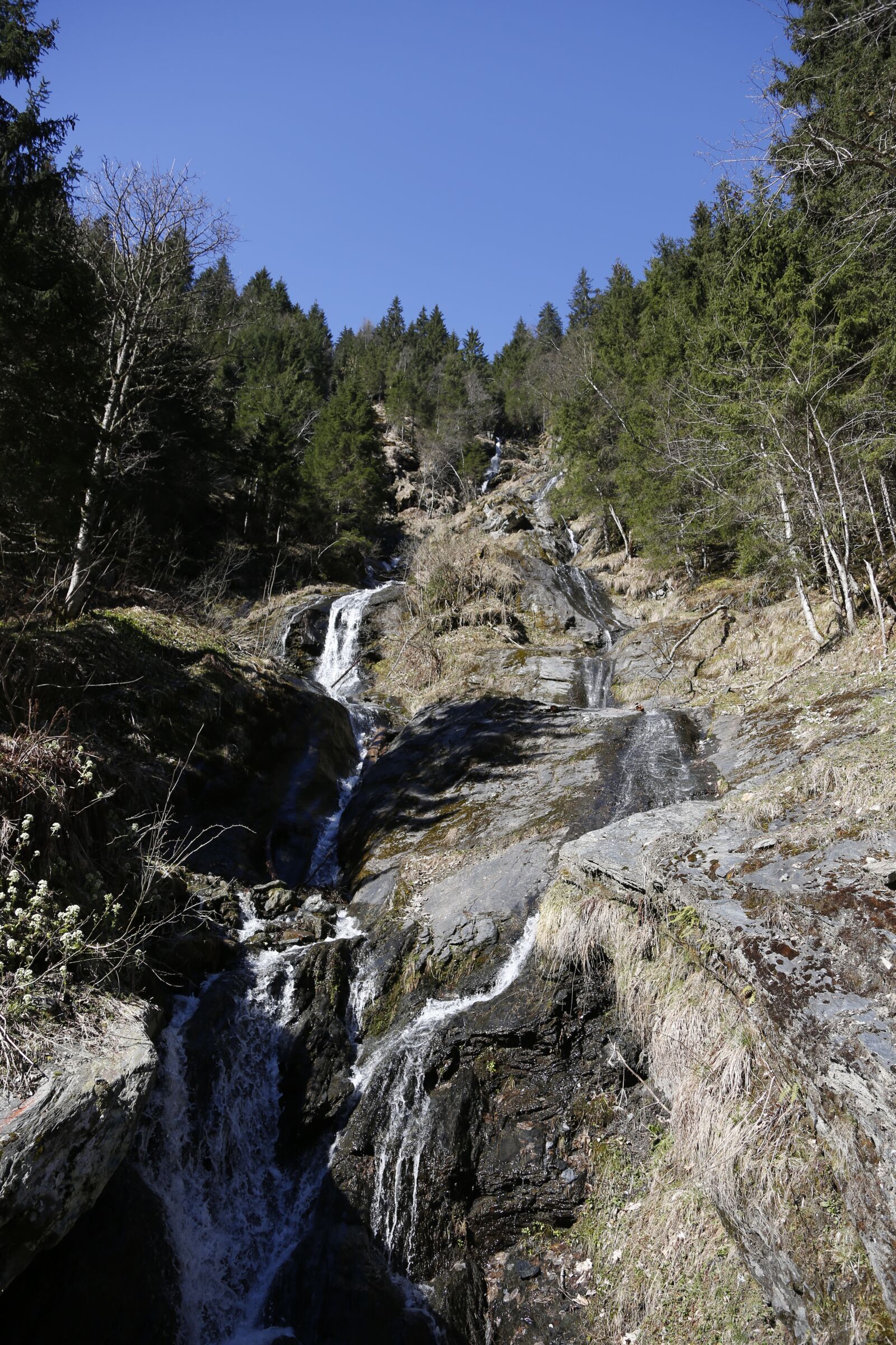 Canon EF 24-105mm F4L IS USM sample photo. Water, mountain stream, bach photography