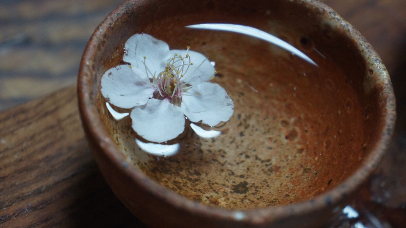 Sony Alpha NEX-F3 sample photo. Flower, blossom, teacup photography