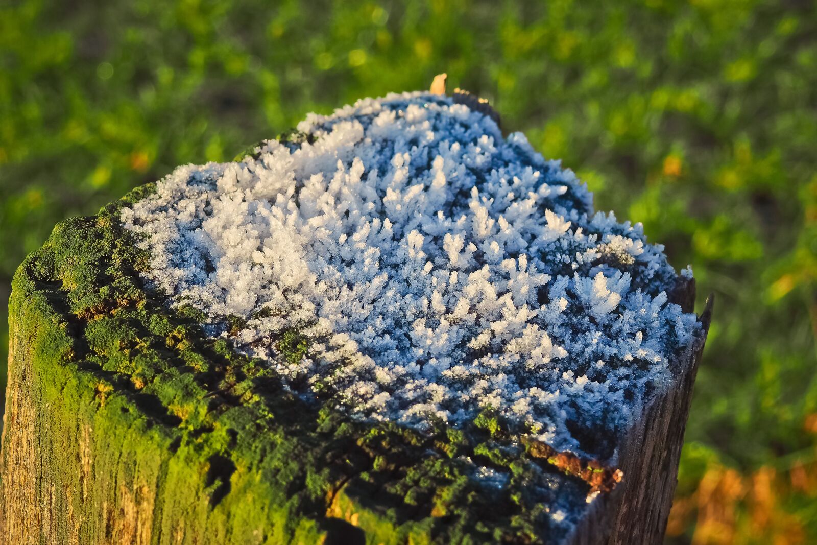 Olympus OM-D E-M10 sample photo. Ice, eiskristalle, winter photography