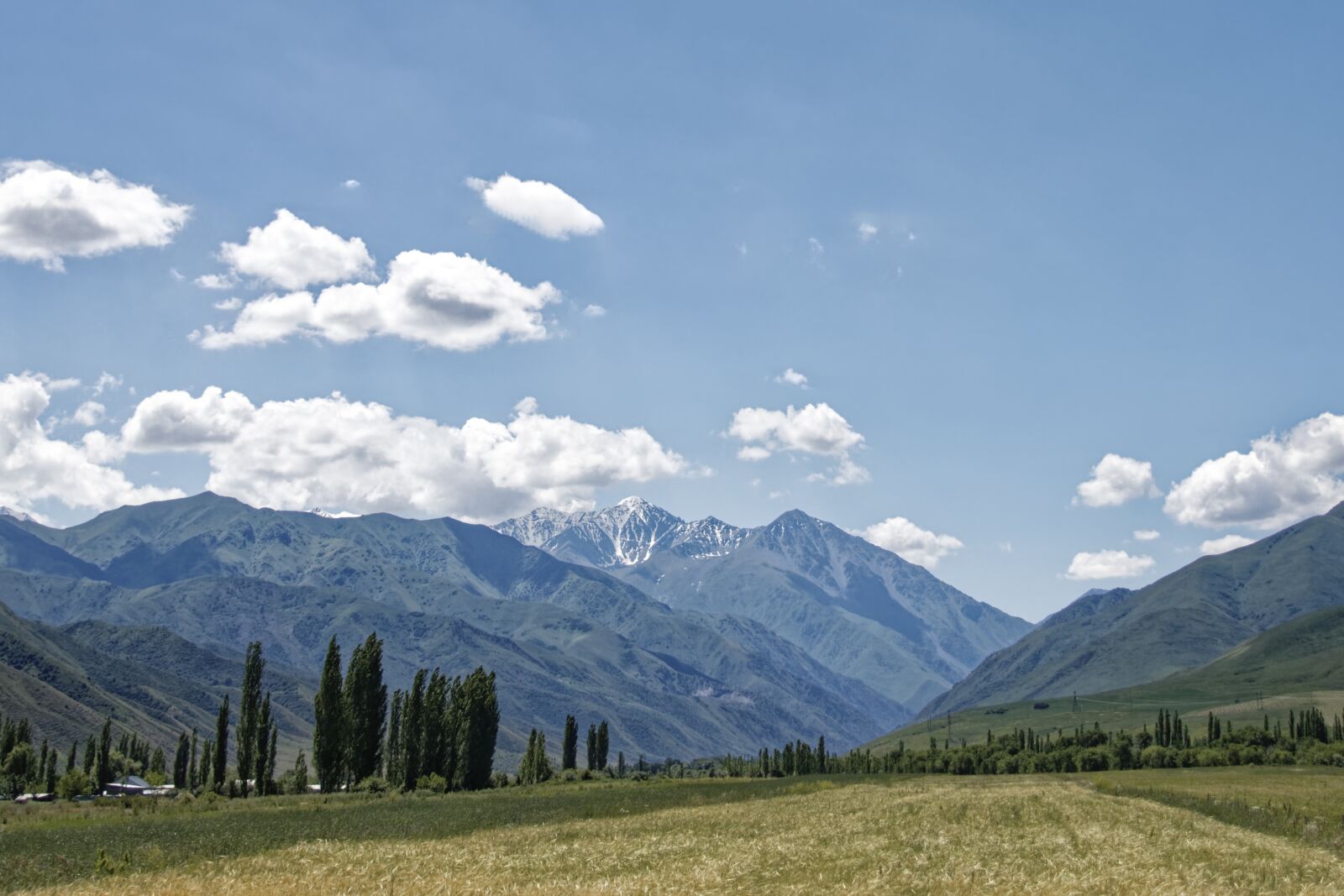 Nikon D500 sample photo. Kyrgyzstan, spades putin, mountains photography