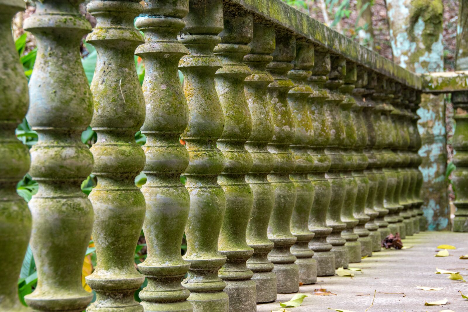 Nikon D5600 sample photo. Handrail, green, architecture photography