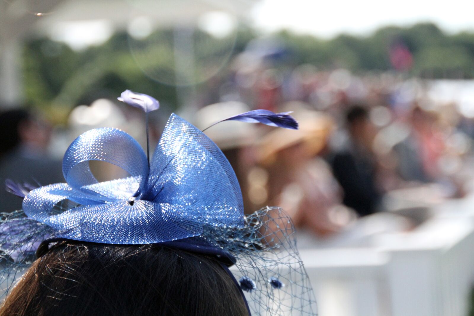 Canon EOS 7D sample photo. Fascinator, hat, blue photography