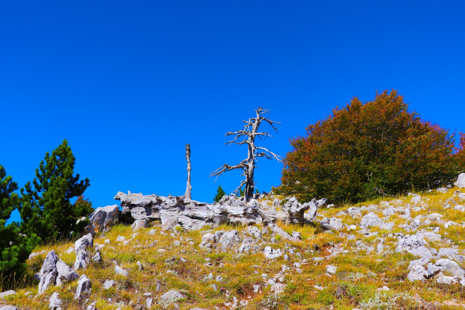 Canon EF-S 18-135mm F3.5-5.6 IS STM sample photo. Pollino national park, monetti photography