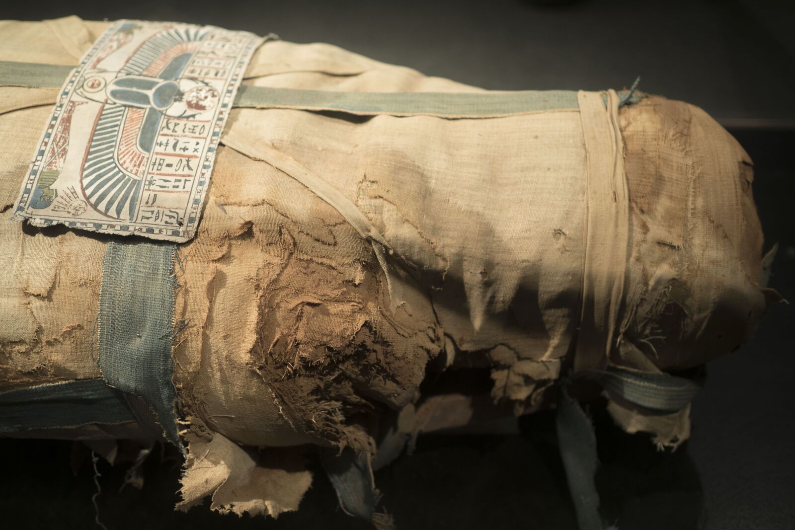 Olympus OM-D E-M5 II sample photo. Egypt, mummy, egyptian photography