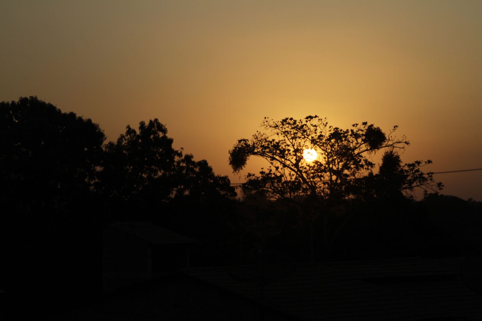 Canon EOS 7D sample photo. Sunset, trees, dia photography