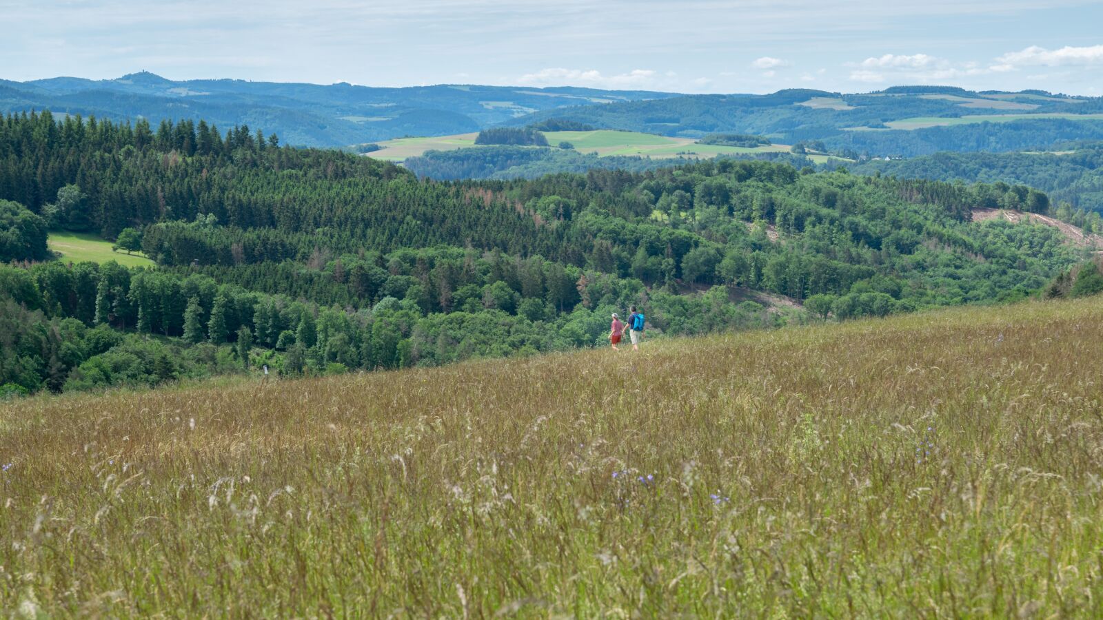Nikon D5300 sample photo. Hiking, eifel, landscape photography