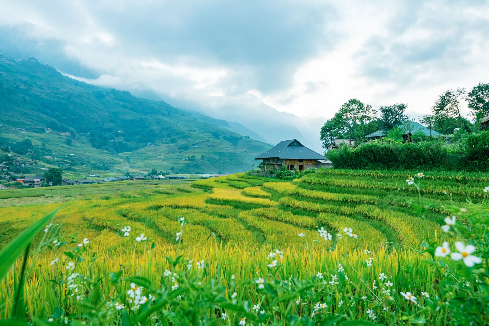 Nikon D750 sample photo. Terraces, vietnam, silk photography