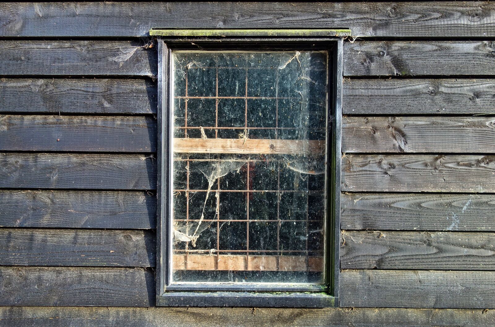 Sony Cyber-shot DSC-RX100 sample photo. Window, pane, glass photography