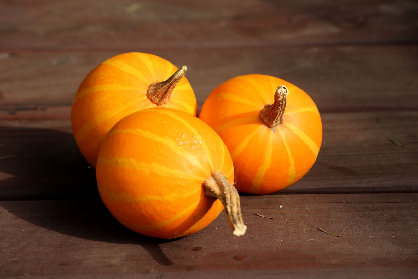 Canon EOS 1200D (EOS Rebel T5 / EOS Kiss X70 / EOS Hi) sample photo. Pumpkins, orange, autumn photography