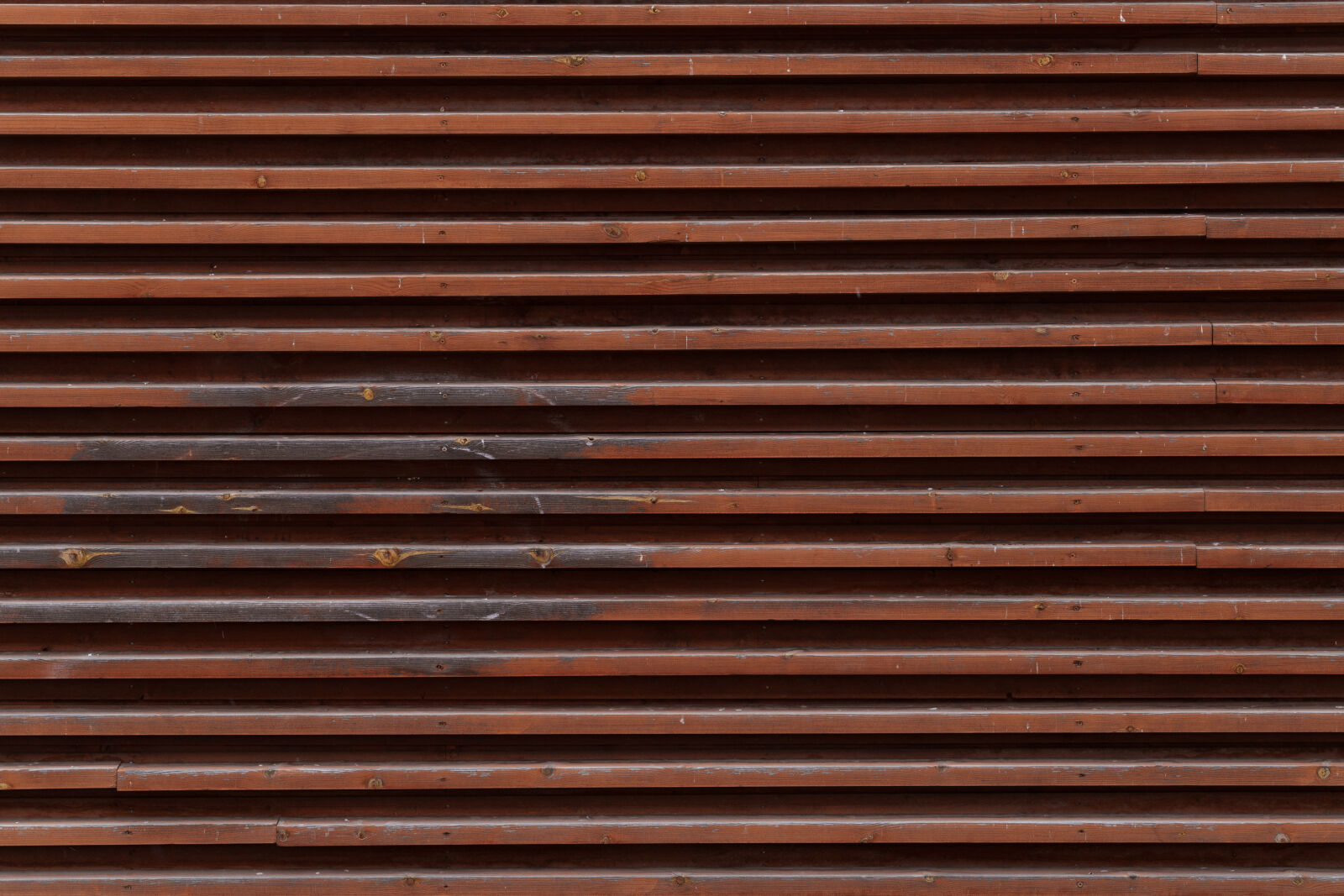 Sigma 70-200mm F2.8 DG DN OS | Sports sample photo. Sharpness sample photography