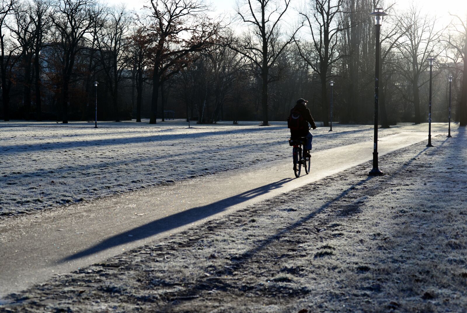 Nikon D610 sample photo. Winter, park, cyclists photography