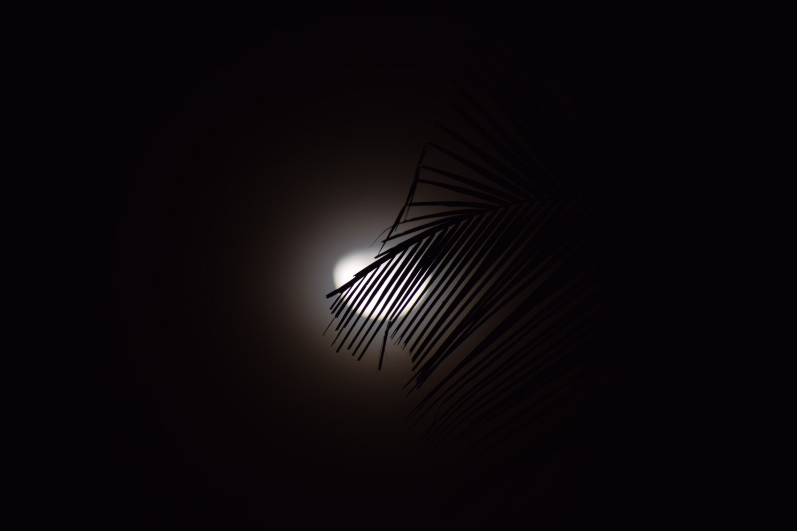Nikon D3300 sample photo. Moon, night, moonlight photography