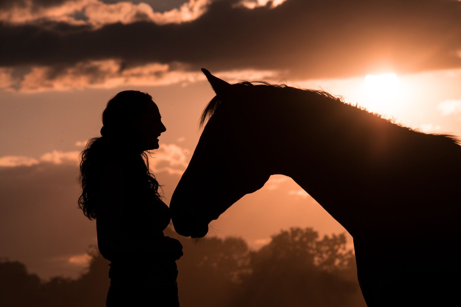 Nikon D3300 sample photo. Silhouette, horse, human photography