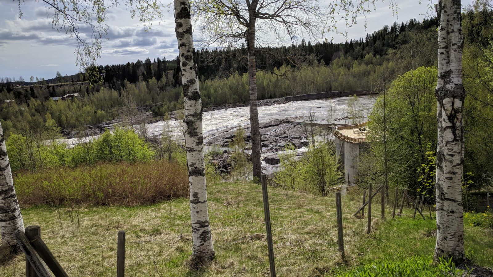 Google Nexus 6P sample photo. Fors, river, nature photography