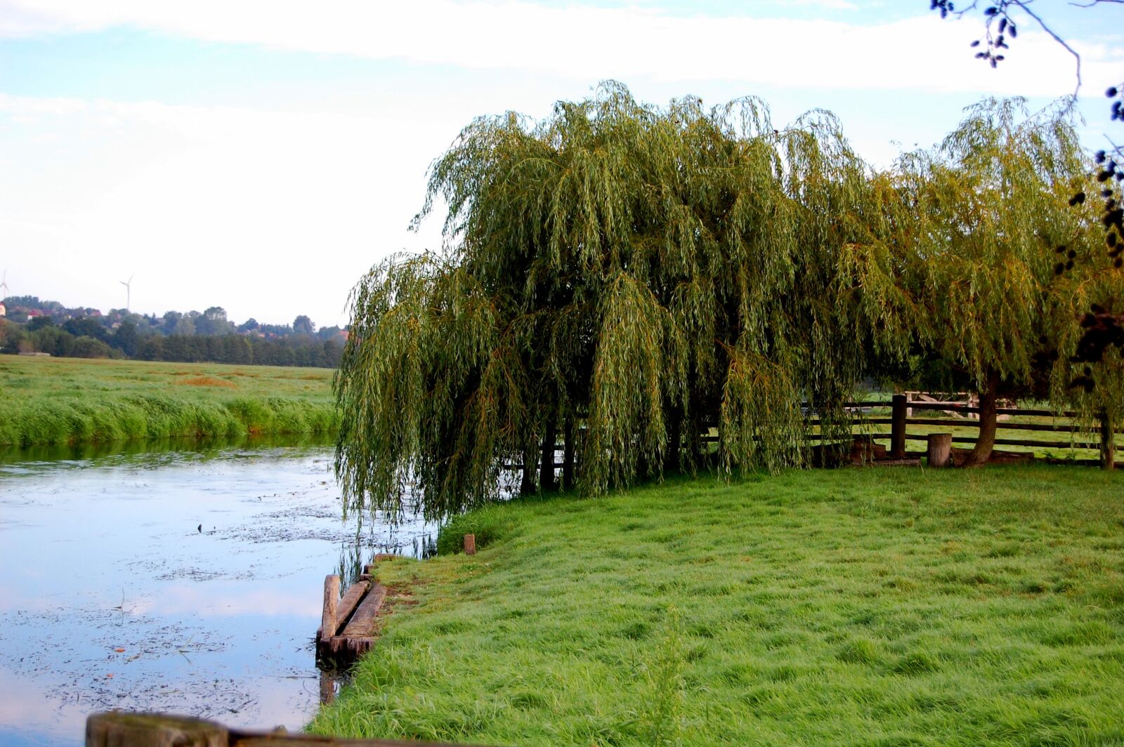 Nikon D40 sample photo. Nature, grass, waters photography
