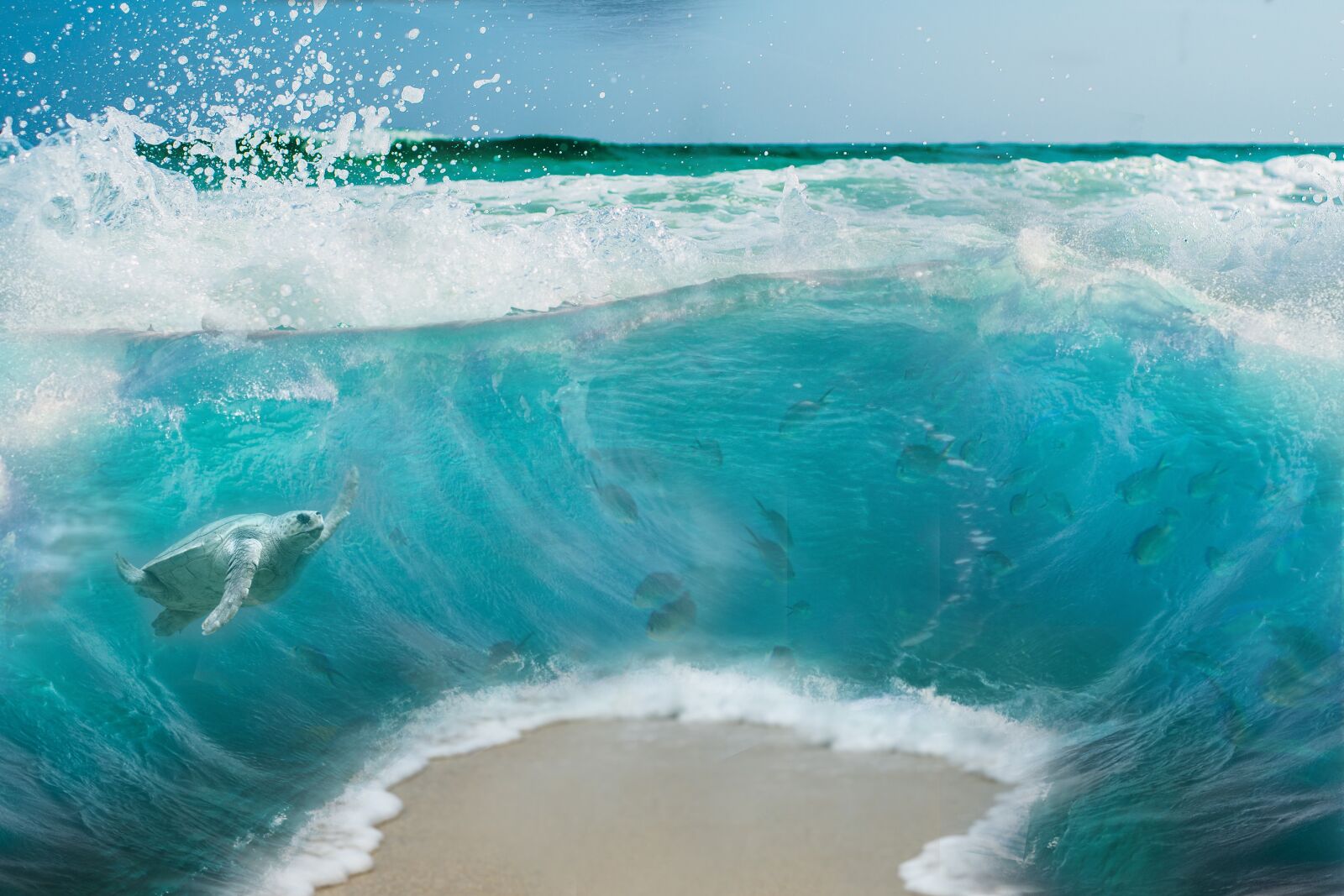 Nikon D7200 sample photo. Sea, underwater, fantasy photography
