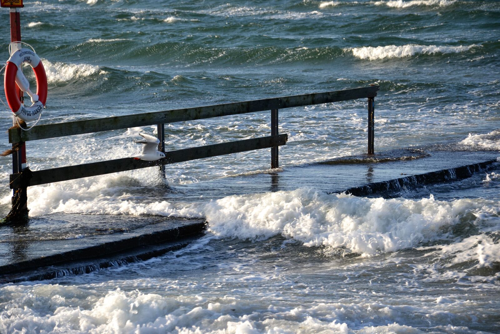 Nikon D3100 sample photo. Bridge, helsingborg, råå photography